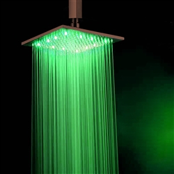 Acorn Shower Head